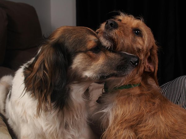 What are the latest trends influencing UK real estate finance?